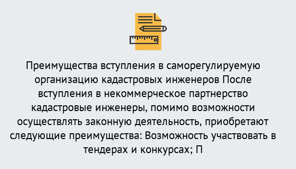 Почему нужно обратиться к нам? Беслан Что дает допуск СРО кадастровых инженеров?