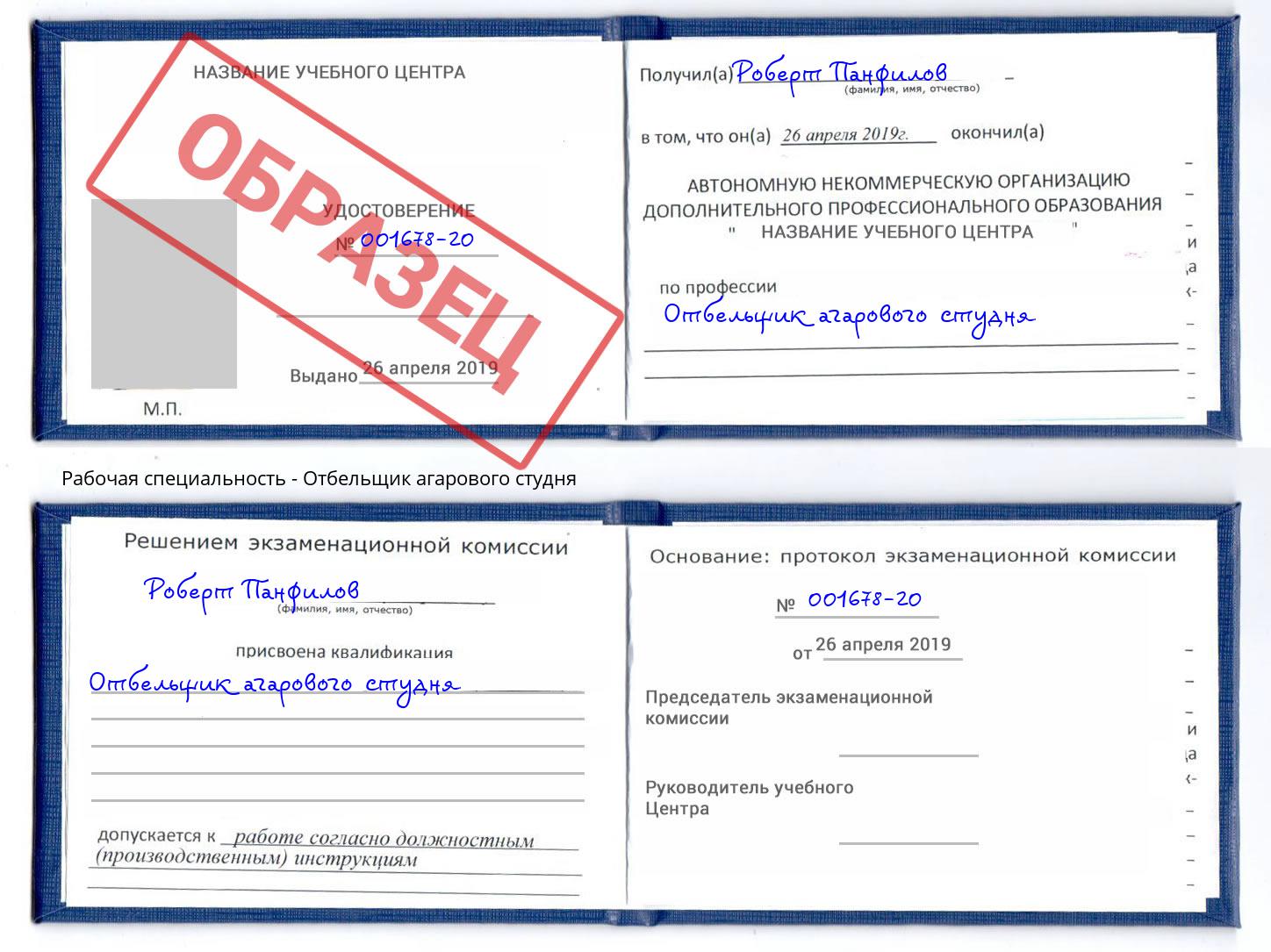 Отбельщик агарового студня Беслан