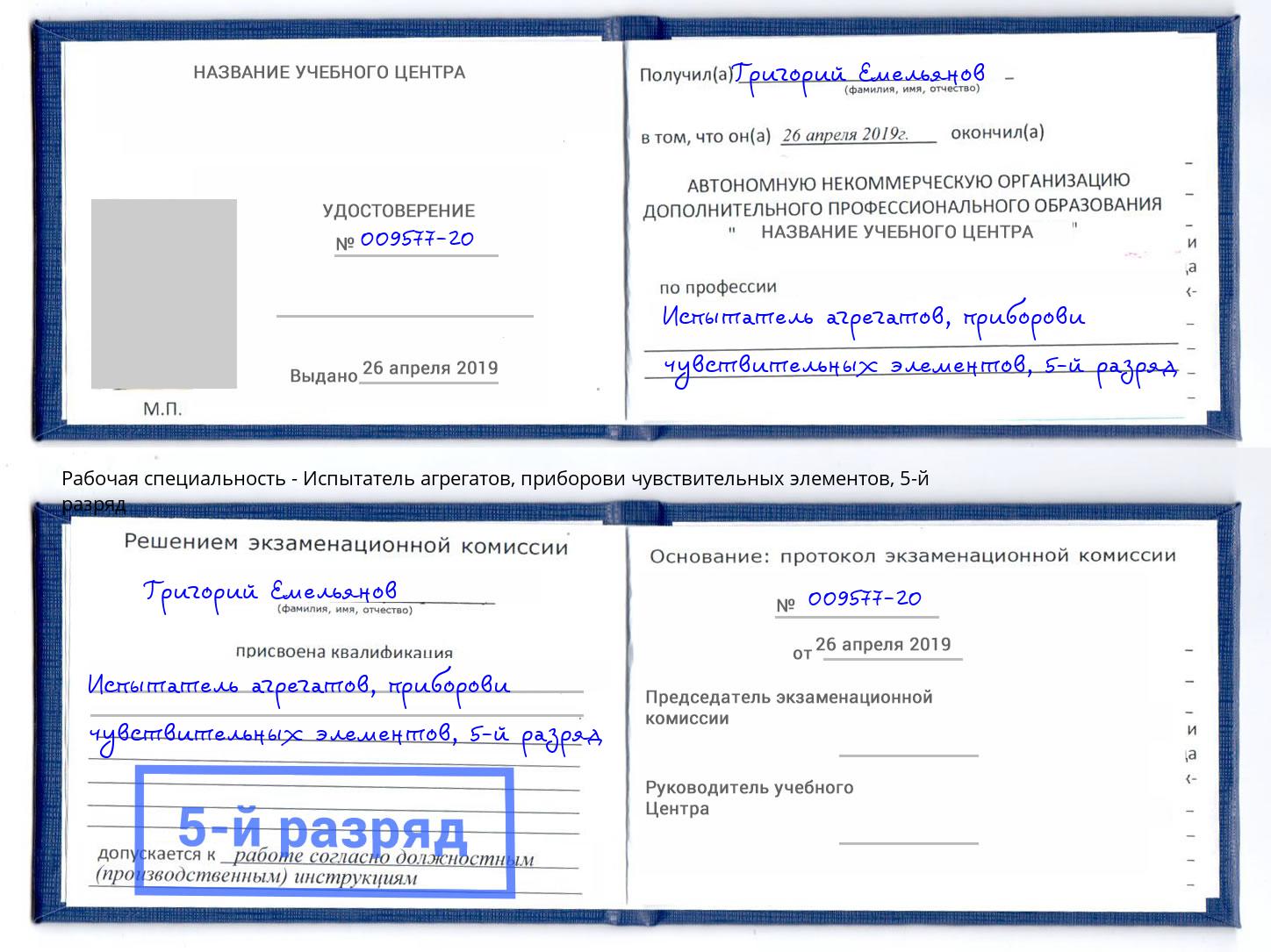 корочка 5-й разряд Испытатель агрегатов, приборови чувствительных элементов Беслан