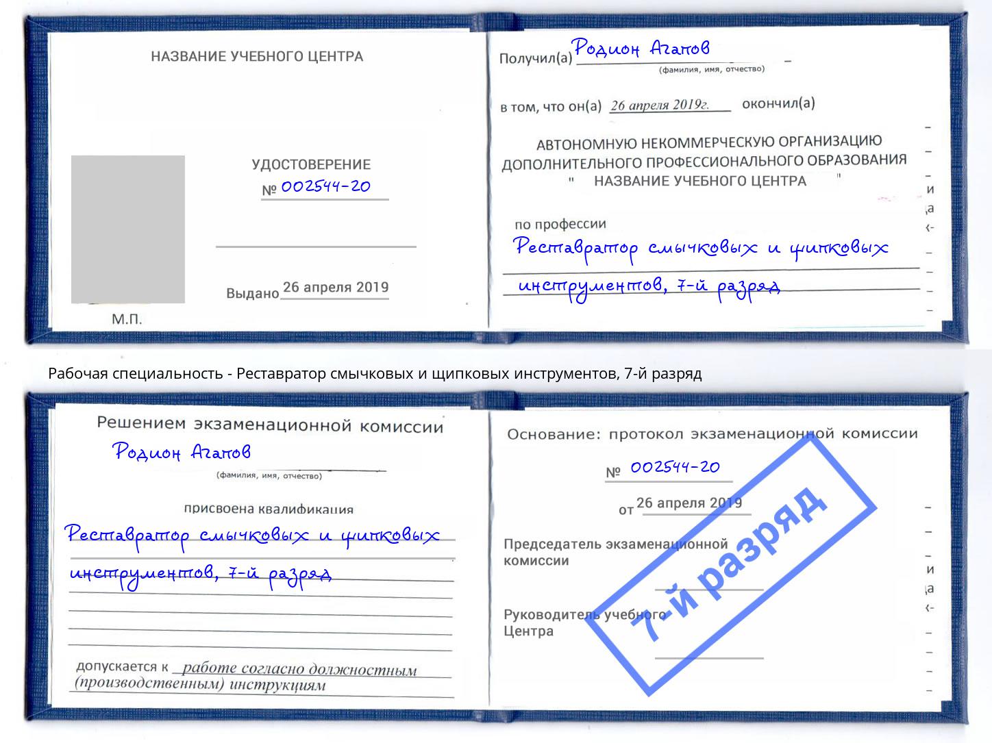 корочка 7-й разряд Реставратор смычковых и щипковых инструментов Беслан